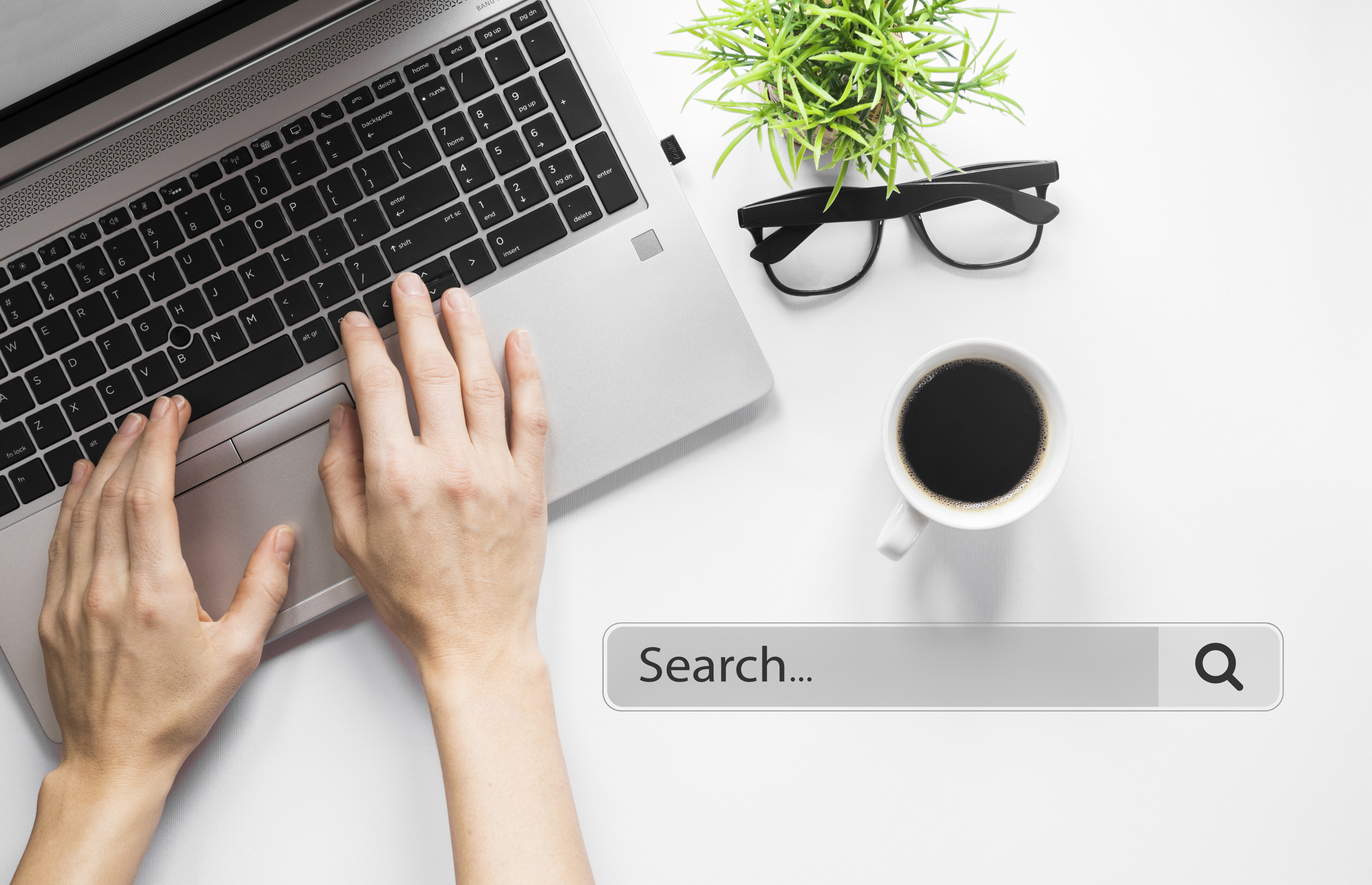 Real Estate Website Design